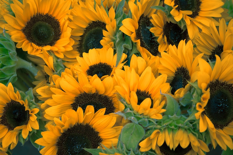 Stunning floral arrangement for special celebration event