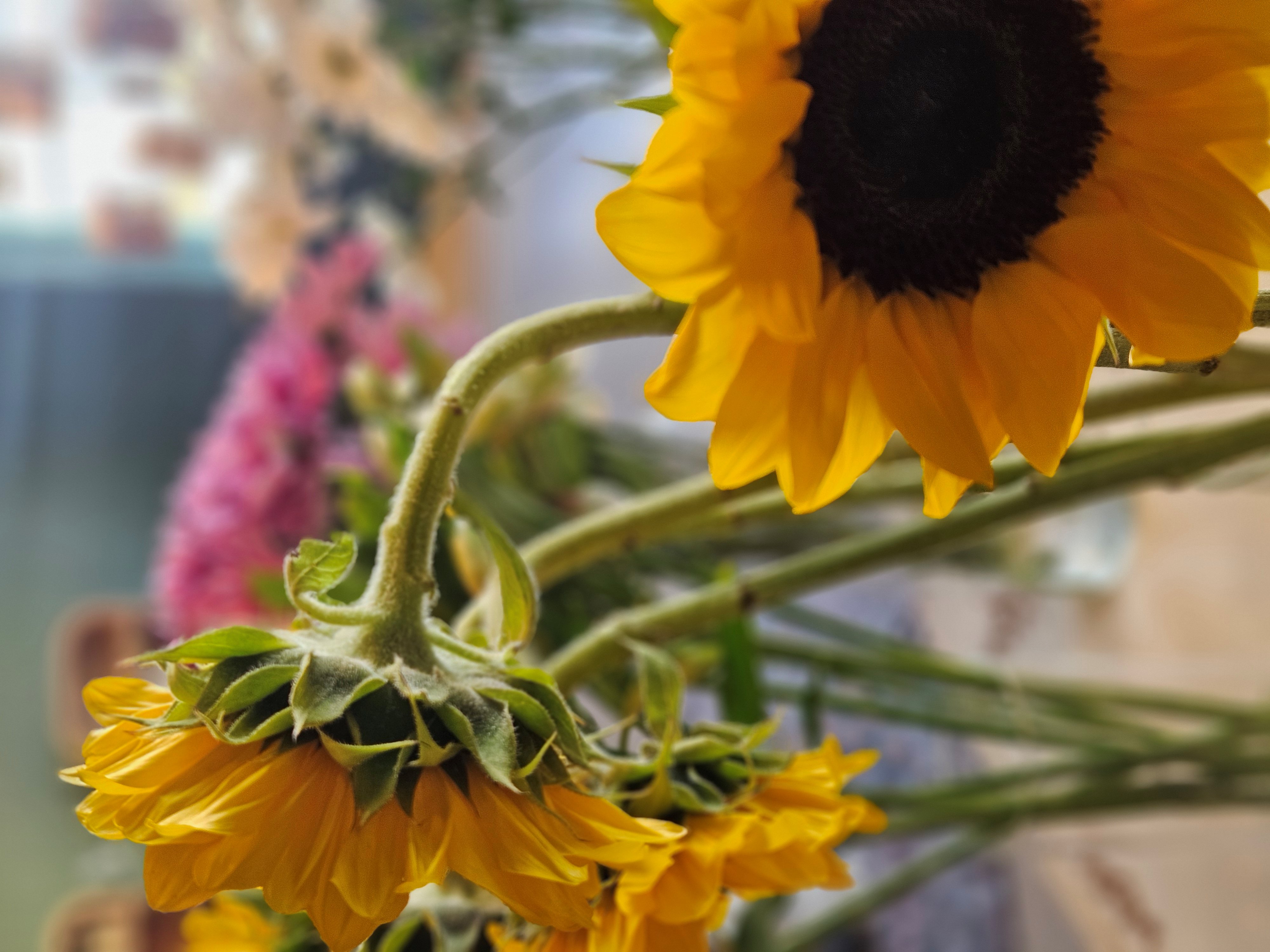 Outdoor garden party with beautiful fresh flower decorations